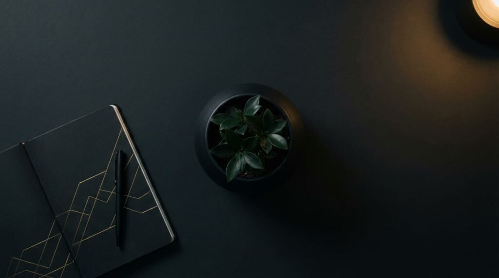 Strategi digital marketing organik Jakarta untuk bisnis yang tidak bergantung paid ads — ALVA OMEGA