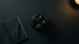 Strategi digital marketing organik Jakarta untuk bisnis yang tidak bergantung paid ads — ALVA OMEGA